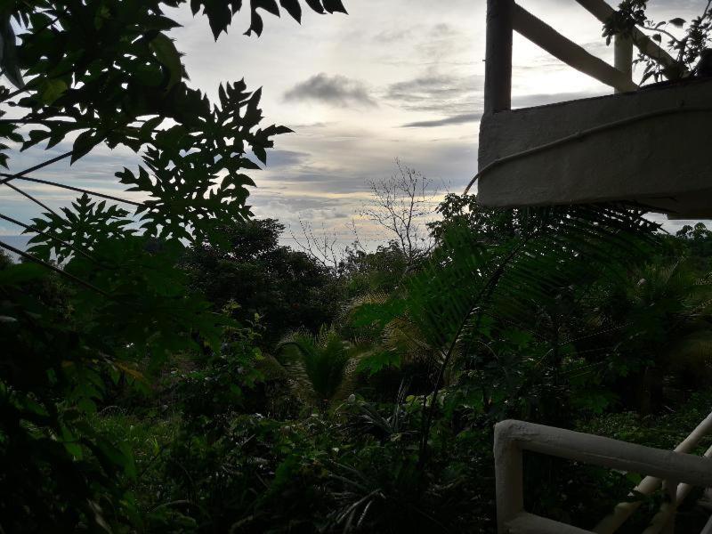 Hotel La Colina Nationalpark Nationalpark Manuel Antonio Zimmer foto